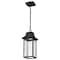 Nuvo Austen Collection Outdoor Hanging Fixture LED SMART Starfish RGBTW, Matte Black Clear Water Glass 62/5996 - alternate 1